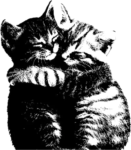 Two kittens, drawn in ink